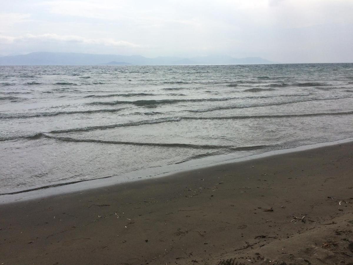 Avra Beach Apartments Λευκίμμη Εξωτερικό φωτογραφία