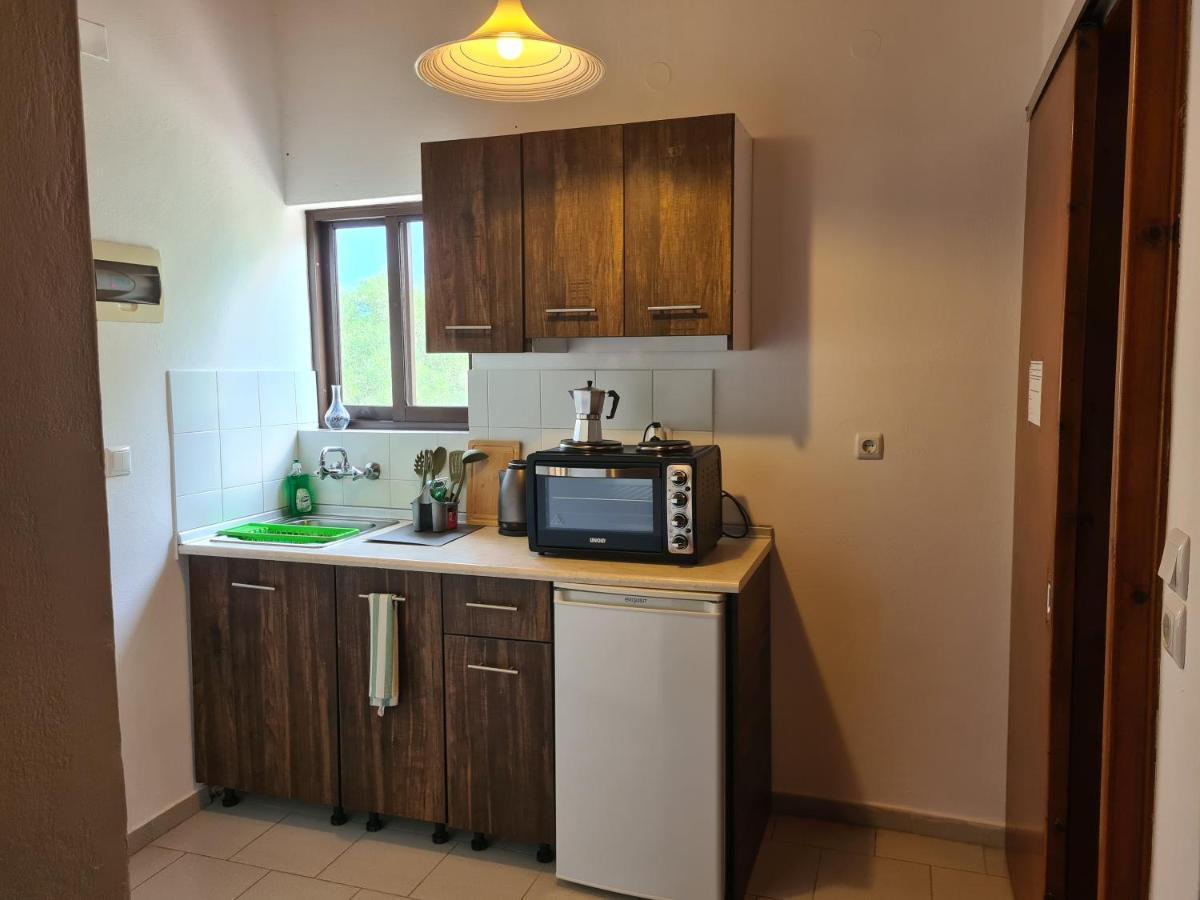 Avra Beach Apartments Λευκίμμη Εξωτερικό φωτογραφία