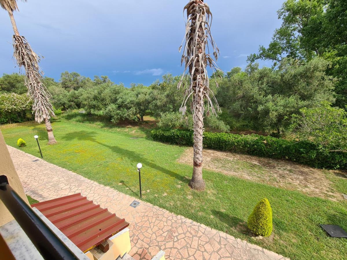 Avra Beach Apartments Λευκίμμη Εξωτερικό φωτογραφία